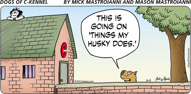 Dogs of C-Kennel for Mar 02, 2025