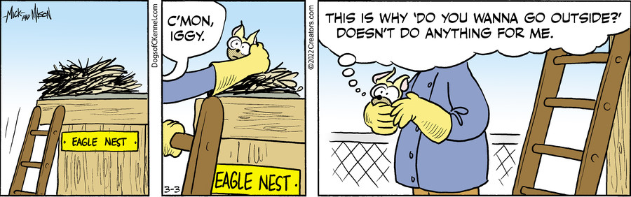 Dogs of C-Kennel for Mar 03, 2022