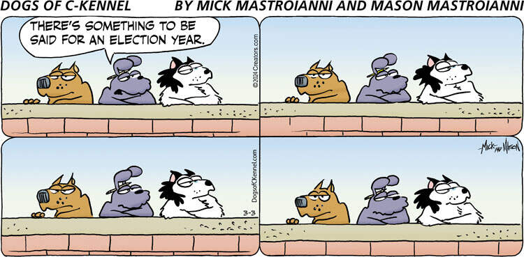 Dogs of C-Kennel for Mar 03, 2024