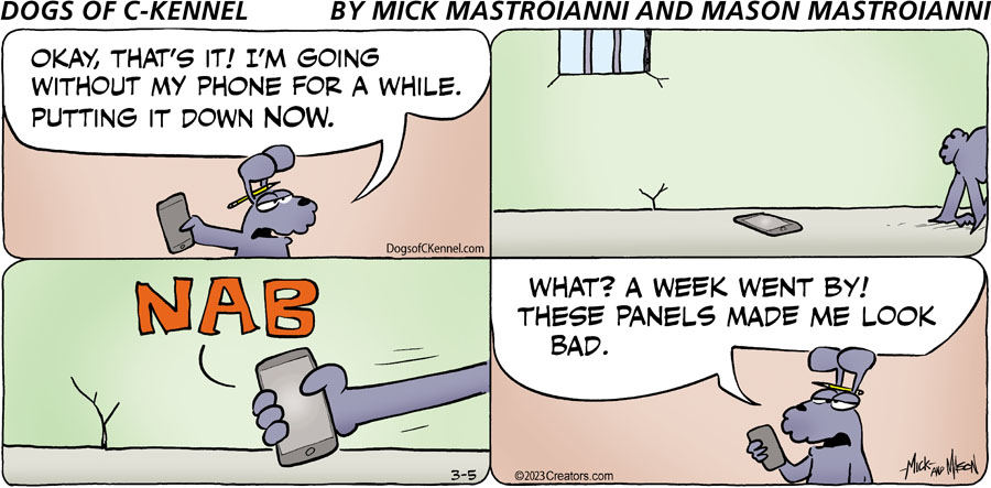 Dogs of C-Kennel for Mar 05, 2023