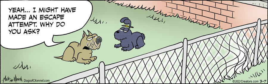 Dogs of C-Kennel for Mar 07, 2022