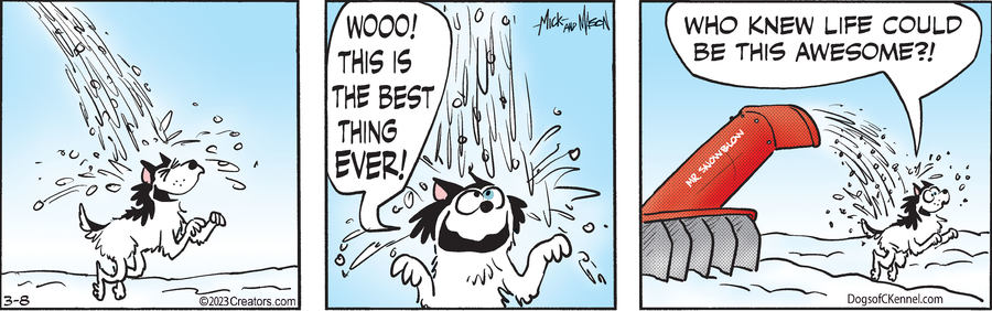 Dogs of C-Kennel for Mar 08, 2023