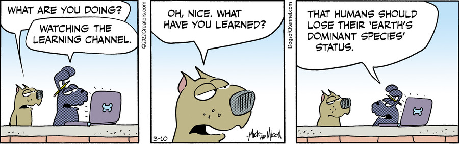 Dogs of C-Kennel for Mar 10, 2022