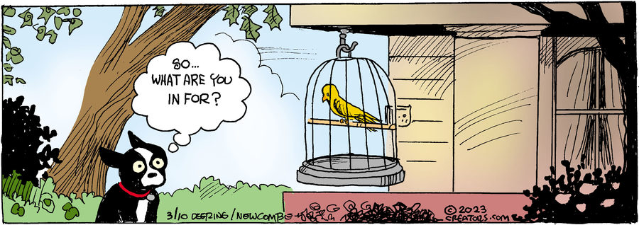 Zack Hill for Mar 10, 2023