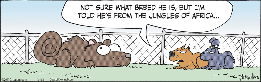 Dogs of C-Kennel for Mar 13, 2024