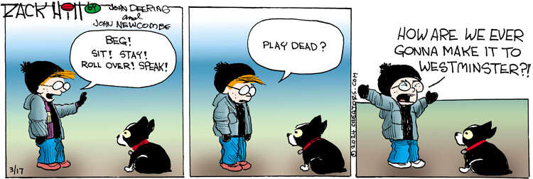 Zack Hill for Mar 17, 2024