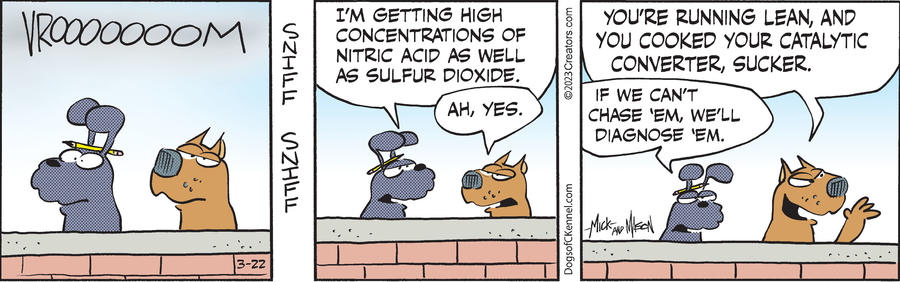 Dogs of C-Kennel for Mar 22, 2023