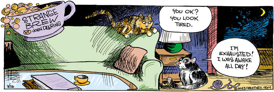 Strange Brew for Mar 26, 2023