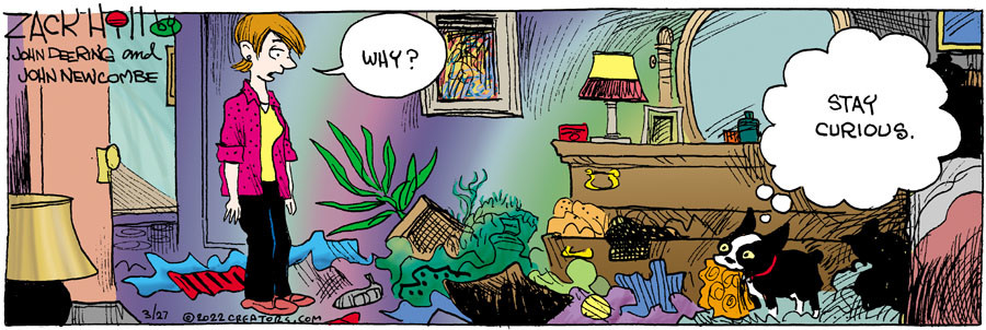 Zack Hill for Mar 27, 2022