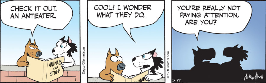 Dogs of C-Kennel for Mar 29, 2023