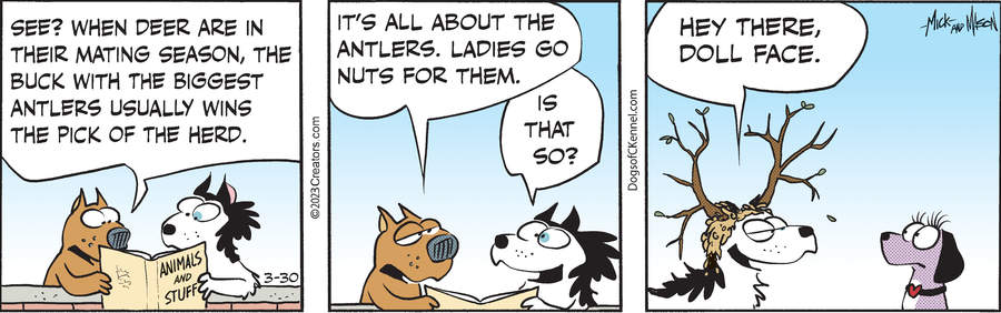 Dogs of C-Kennel for Mar 30, 2023