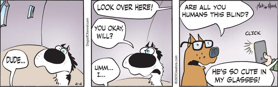 Dogs of C-Kennel for Apr 04, 2023