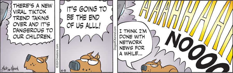 Dogs of C-Kennel for Apr 05, 2024