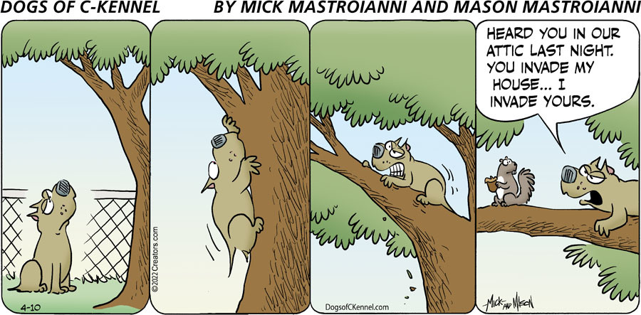 Dogs of C-Kennel for Apr 10, 2022