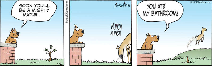 Dogs of C-Kennel for Apr 11, 2023