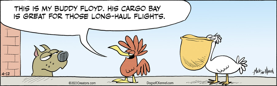 Dogs of C-Kennel for Apr 12, 2022