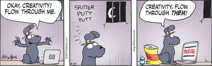 Dogs of C-Kennel for Apr 16, 2024