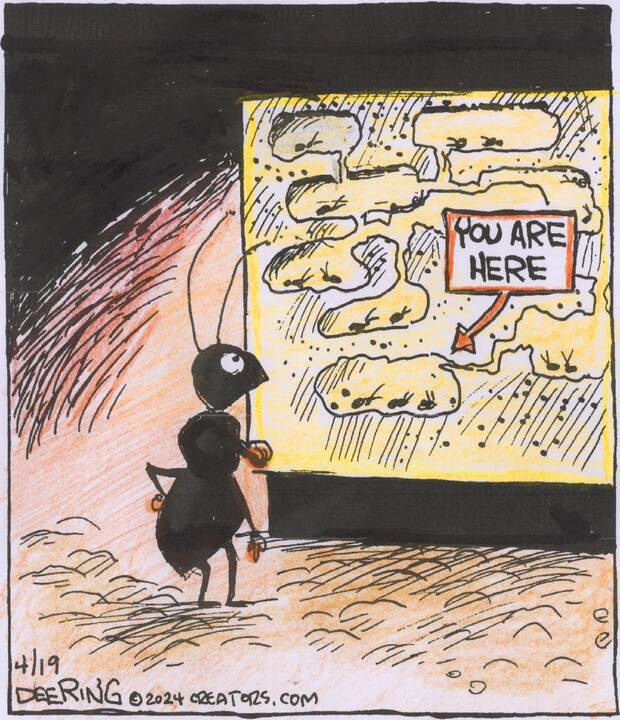 Strange Brew for Apr 19, 2024