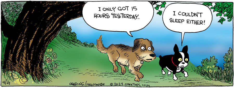 Zack Hill for Apr 21, 2023