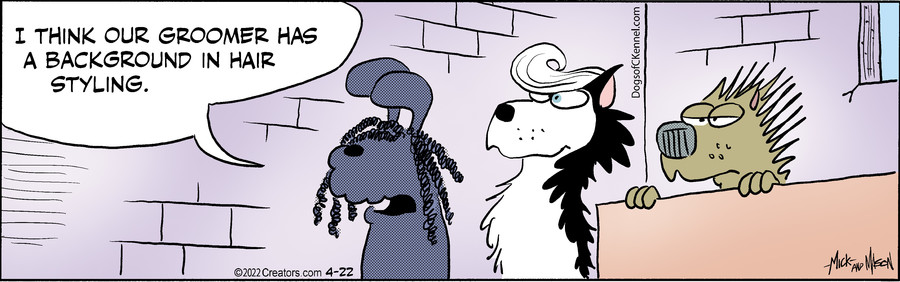 Dogs of C-Kennel for Apr 22, 2022