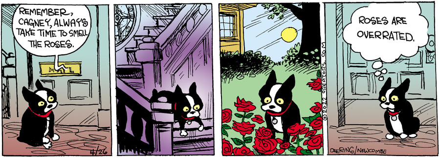 Zack Hill for Apr 26, 2022