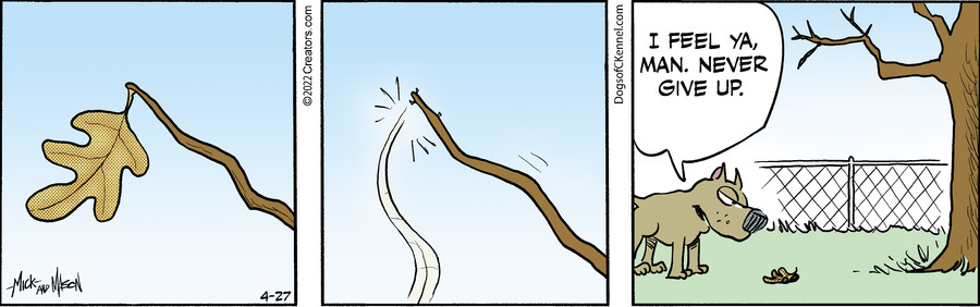 Dogs of C-Kennel for Apr 27, 2022