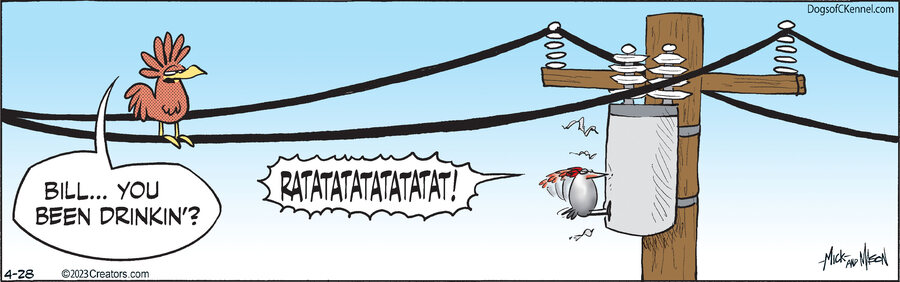 Dogs of C-Kennel for Apr 28, 2023