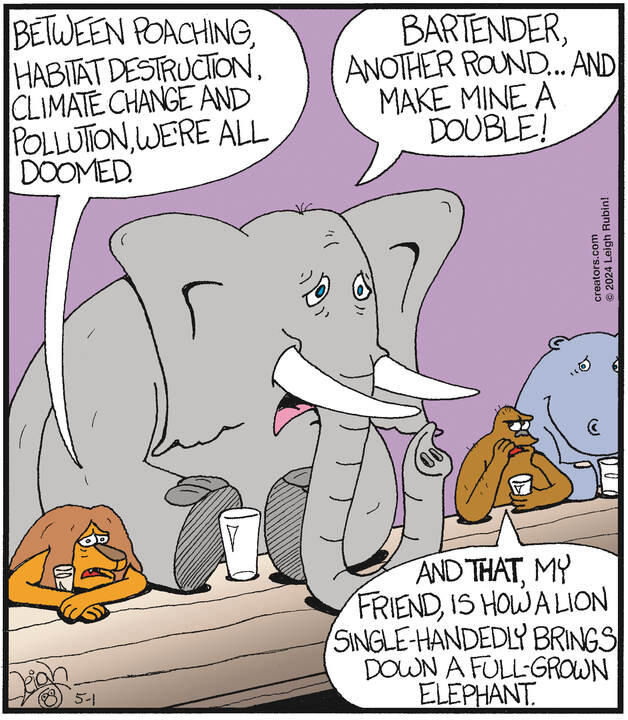 Rubes® for May 01, 2024