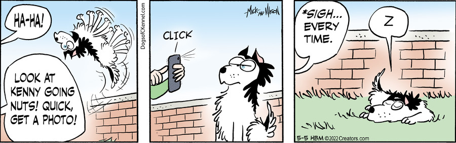 Dogs of C-Kennel for May 05, 2022