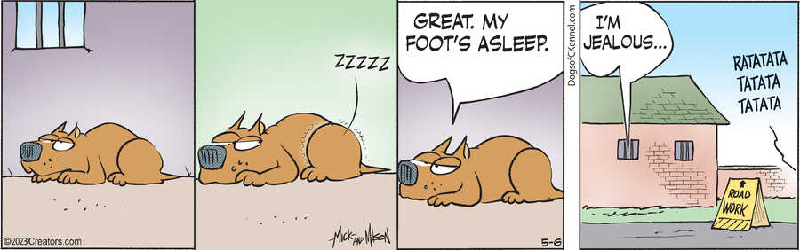 Dogs of C-Kennel for May 06, 2023