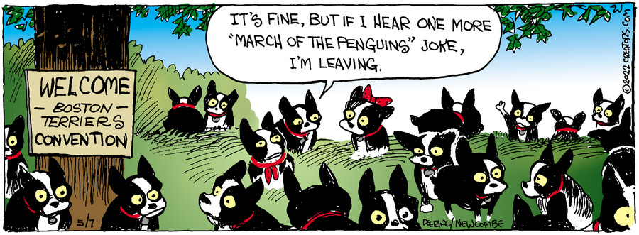 Zack Hill for May 07, 2022