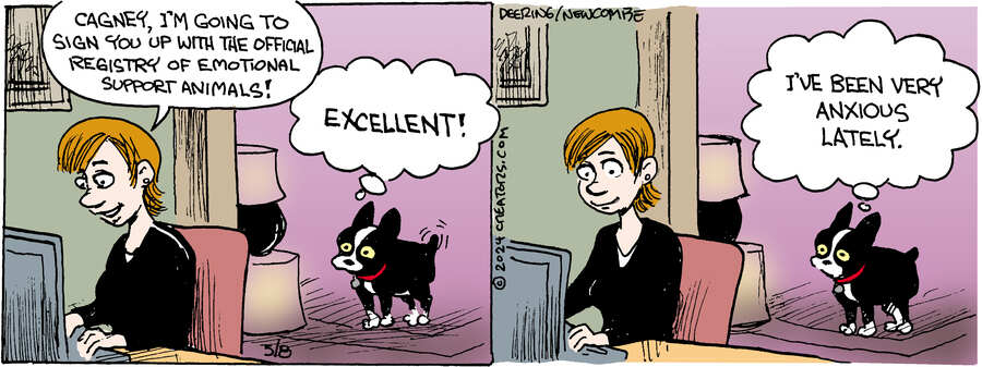 Zack Hill for May 08, 2024