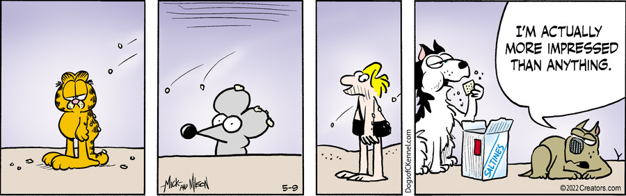 Dogs of C-Kennel for May 09, 2022