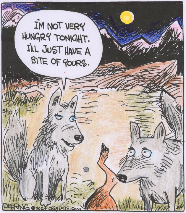 Strange Brew for May 10, 2024