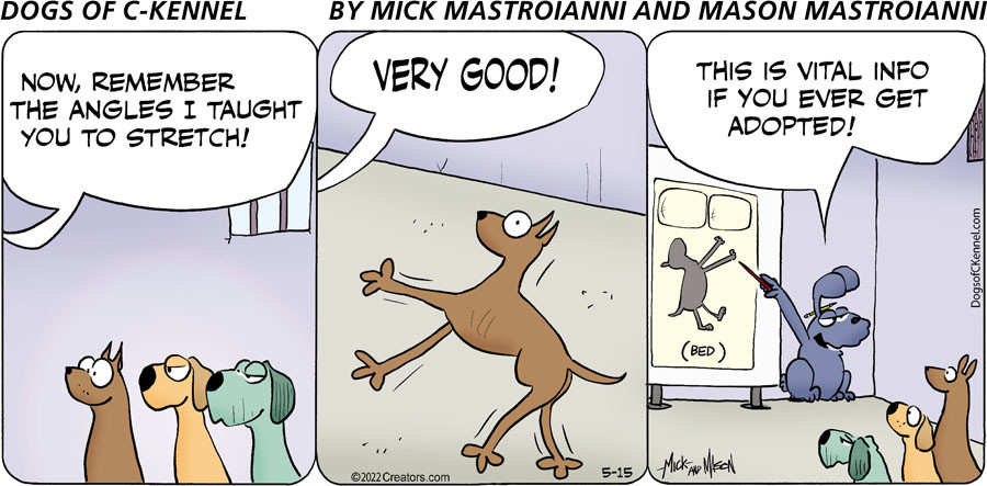 Dogs of C-Kennel for May 15, 2022