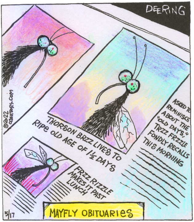 Strange Brew for May 17, 2022