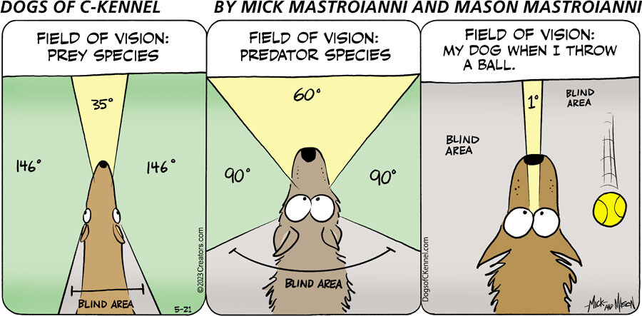 Dogs of C-Kennel for May 21, 2023