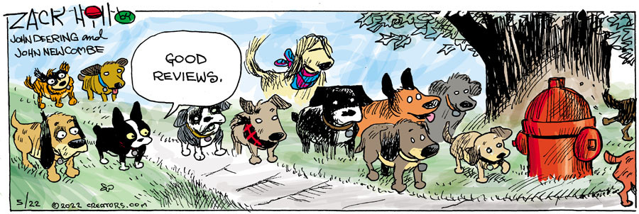 Zack Hill for May 22, 2022