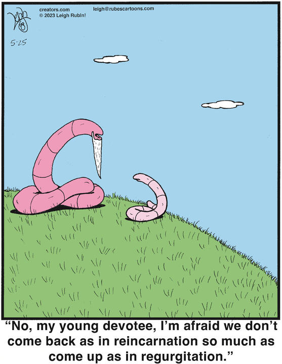 Rubes® for May 25, 2023