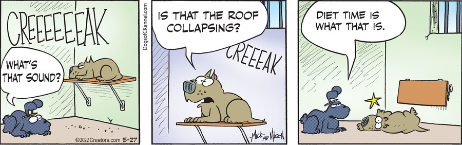 Dogs of C-Kennel for May 27, 2022