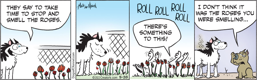 Dogs of C-Kennel for May 28, 2022