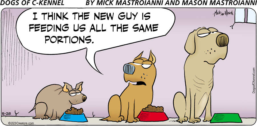 Dogs of C-Kennel for May 28, 2023