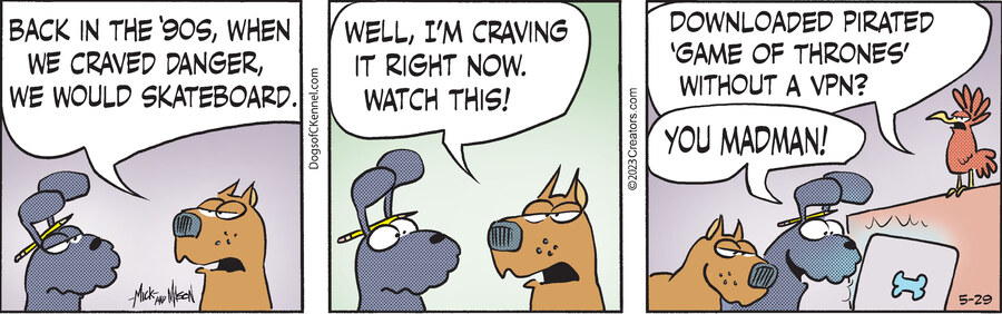 Dogs of C-Kennel for May 29, 2023
