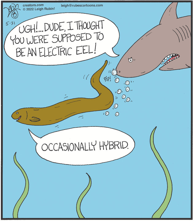 Rubes® for May 31, 2022