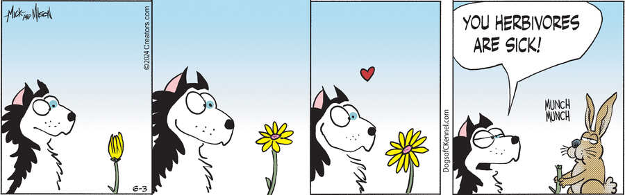 Dogs of C-Kennel for Jun 03, 2024