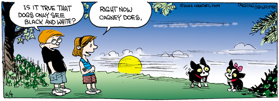 Zack Hill for Jun 04, 2022