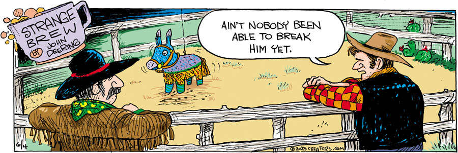 Strange Brew for Jun 04, 2023