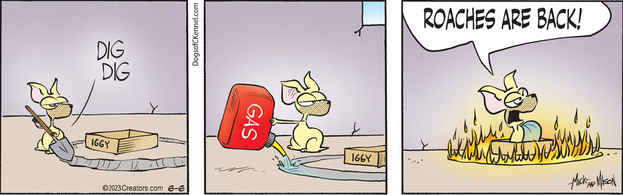 Dogs of C-Kennel for Jun 06, 2023