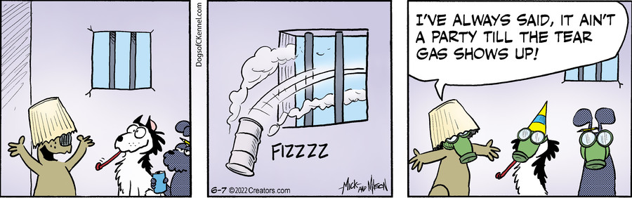 Dogs of C-Kennel for Jun 07, 2022