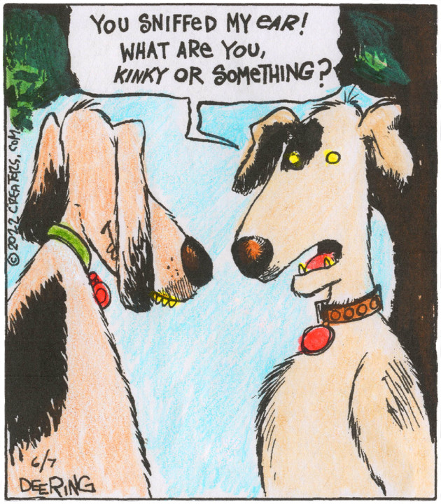 Strange Brew for Jun 07, 2022